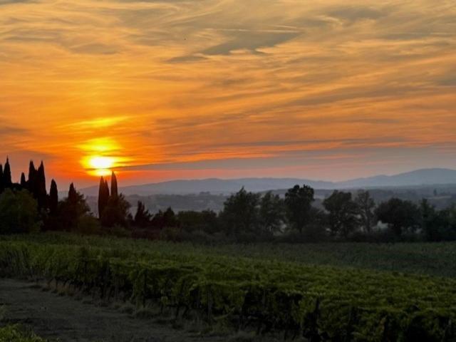 Bauernhof Podere Borgaruccio