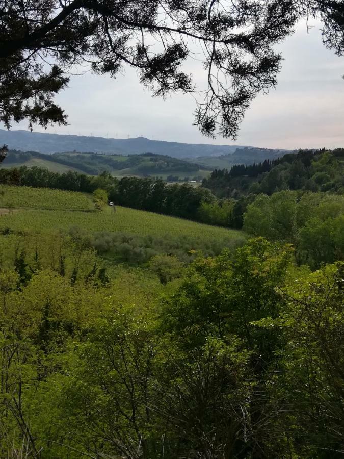 Bauernhof Podere Borgaruccio *