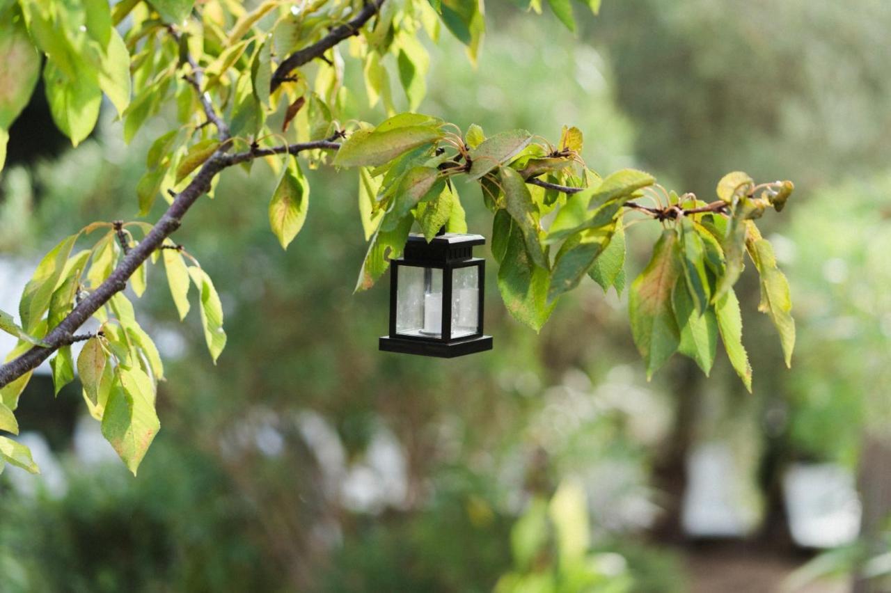 Podere Borgaruccio Vakantieboerderij *