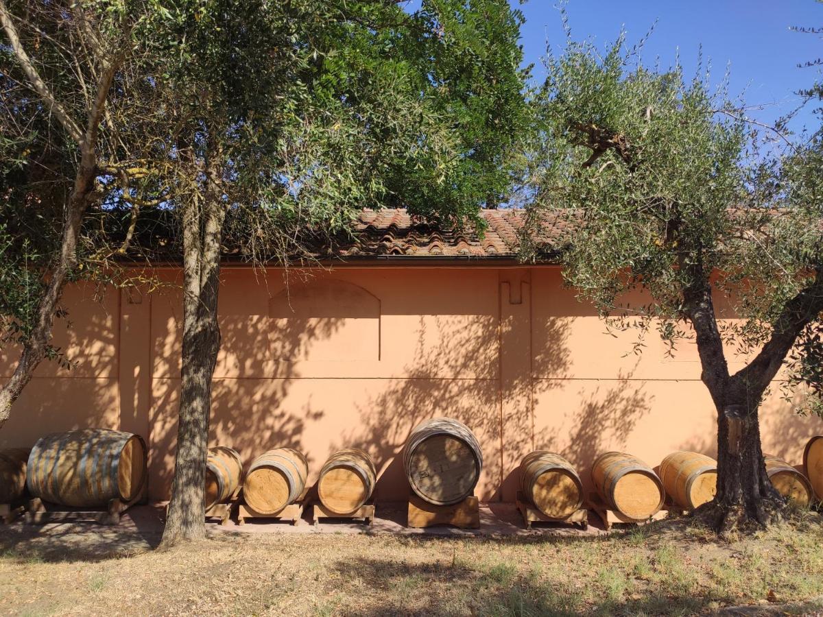 Alojamento de Turismo Rural Podere Borgaruccio Peccioli