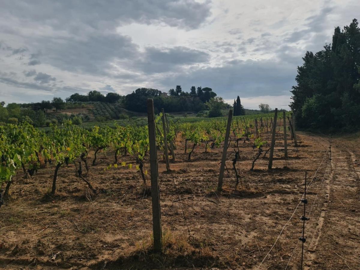 Podere Borgaruccio Alojamento de Turismo Rural Peccioli