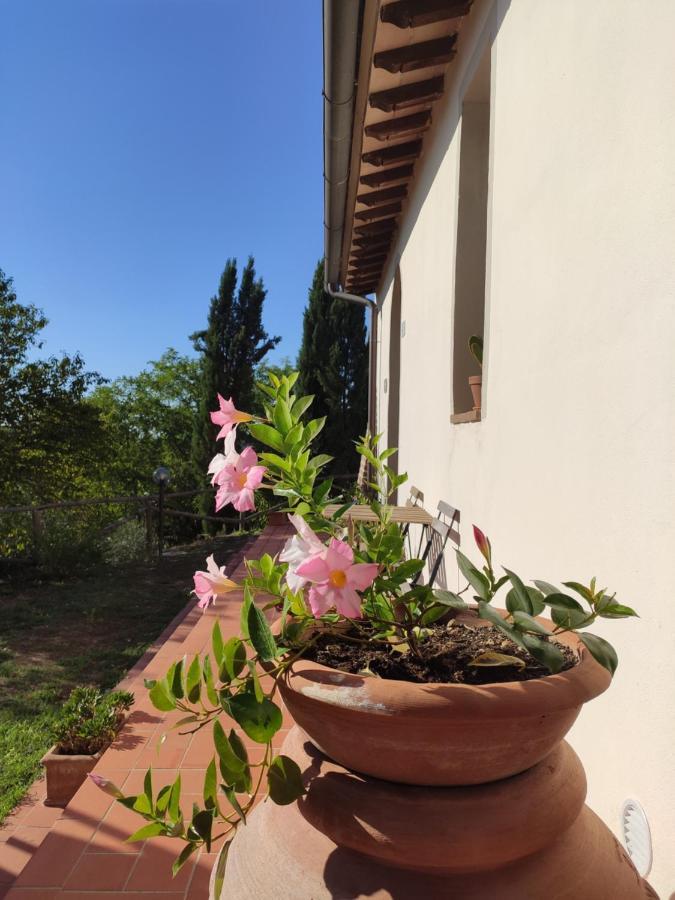 Vakantieboerderij Podere Borgaruccio