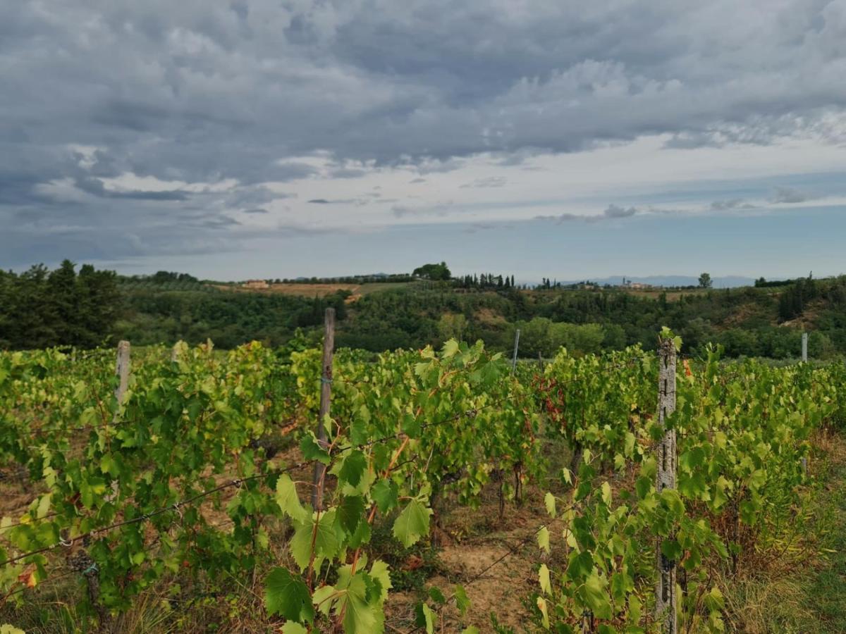 Alojamento de Turismo Rural Podere Borgaruccio *