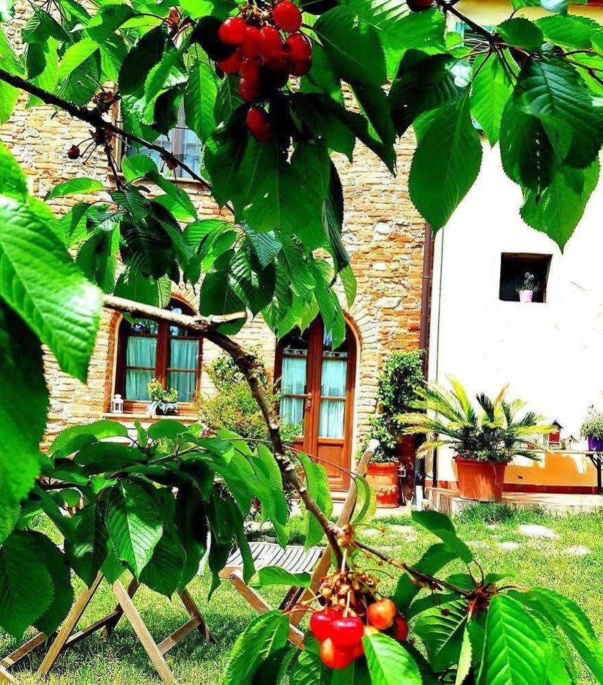 Podere Borgaruccio *